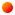 section shape 05- Netfie