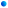 section shape 13- Netfie